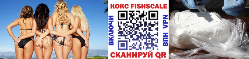 Купить  Гай  Cocaine FishScale 