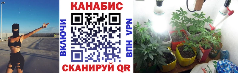 Шишки марихуана SATIVA & INDICA  Купить где  Гай 